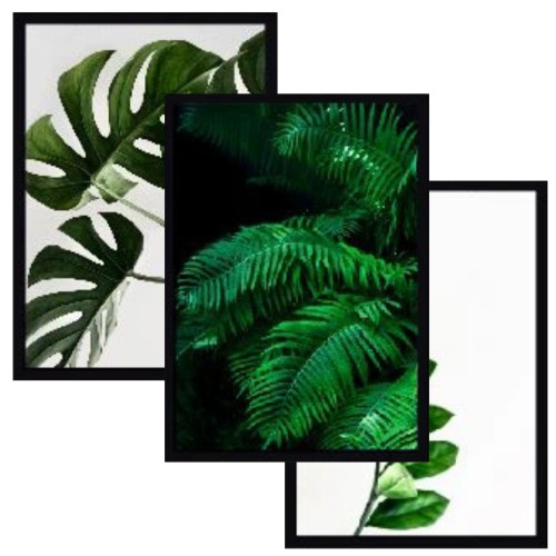 Plakaty w ramie komplet trzech plakatów styl skandynawski monstera KP 020 Naklejkomania - zdjecie 1