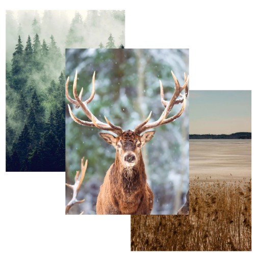 Zestaw plakatów trzy plakaty plakat styl skandynawski NATURE KP003