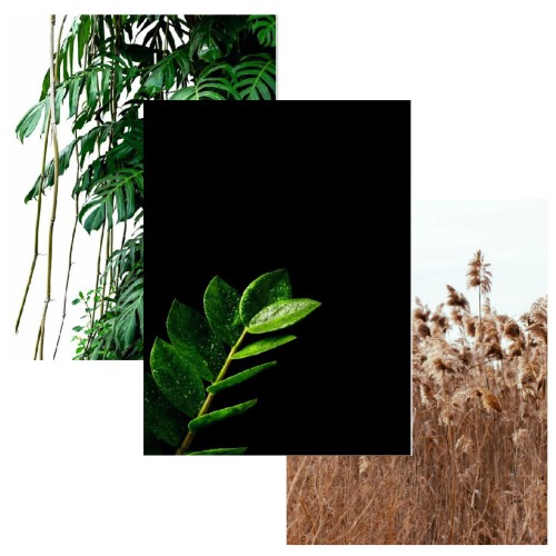 Zestaw plakatów trzy plakaty plakat styl skandynawski boho NATURE KP005 Naklejkomania - zdjecie 1