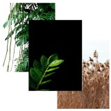Zestaw plakatów trzy plakaty plakat styl skandynawski boho NATURE KP005 Naklejkomania - zdjecie 1 - miniatura