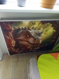 Opinia od Mirosława