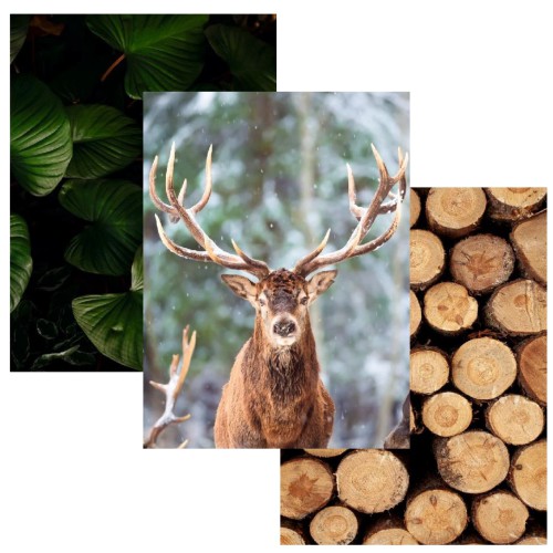Zestaw trzech plakatów plakat na ścianę styl skandynawski natura KP031