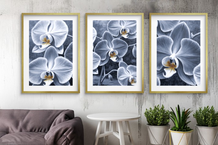 Zestaw Plakatów z kwiatami Orchidei | Obrazy- eleganckie storczyki KP82017 - zdjęcie 8