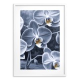 Plakat ze storczykiem w chłodnych barwach | Elegancka dekoracja ścienna z fioletową orchideą 82016 Naklejkomania - zdjecie 4 - miniatura