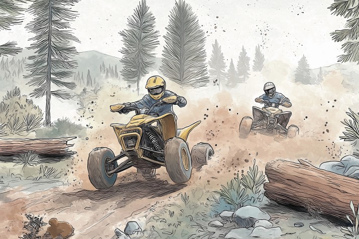 Fototapeta z quadami- wyścig w lesie | Dekoracja ścienna do pokoju chłopca, fana off-roadu, motoryzacji 64199 - zdjęcie 2