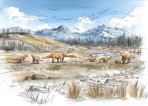 Rysunkowa Fototapeta- Dinozaury i Góry | Pastelowa Ilustracja do pokoju chłopca, przedszkola 82027 Naklejkomania - zdjecie 3 - miniatura