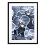 Plakat ze storczykiem w chłodnych barwach | Elegancka dekoracja ścienna z fioletową orchideą 82016 Naklejkomania - zdjecie 3 - miniatura