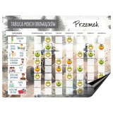 Dziecięcy Planer na lodówkę- Magnetyczna Tablica obowiązków dla chłopca Quady 4660 Naklejkomania - zdjecie 1 - miniatura