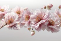 Romantyczna fototapeta kwiatowa | Duże różowe peonie | Dekoracja ściany do eleganckiego wnętrza 82100 Naklejkomania - zdjecie 2 - miniatura