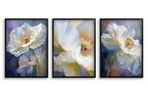 Nowoczesne Plakaty z Kwiatami – Tryptyk Akwarela Białe Maki | Elegancka Dekoracja Ścienna do Salonu i Sypialni 82141 - miniaturka 6