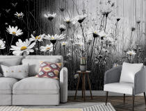 Wyrazista Fototapeta do salonu- Stokrotki | Kontrastowa grafika na ścianę do nowoczesnych wnętrz 82211 - miniaturka 2