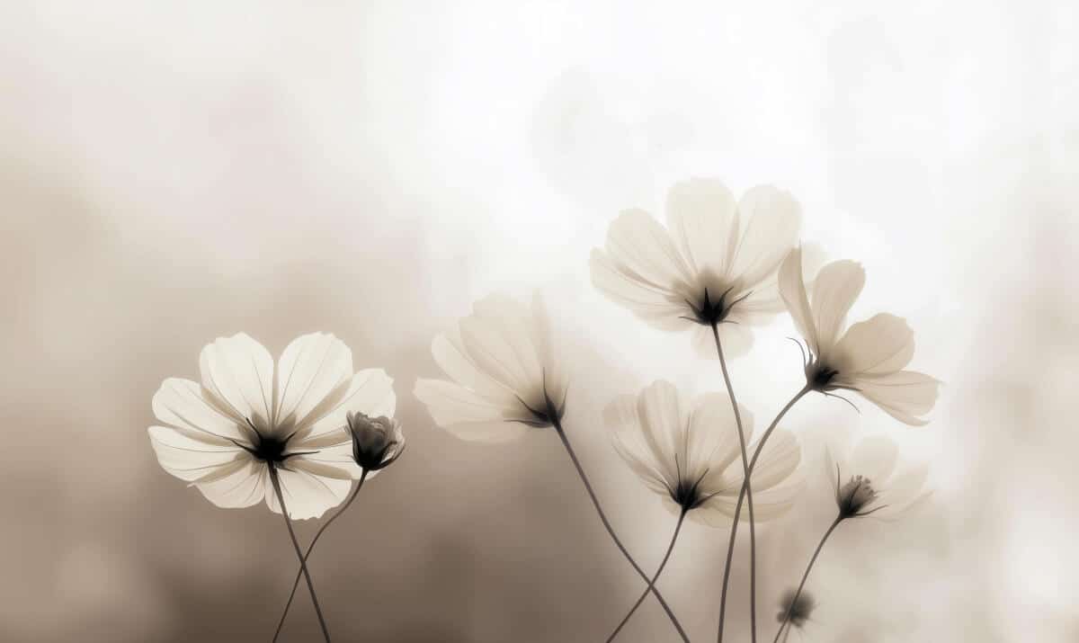 Beżowa Fototapeta- Polne Kwiaty | Subtelna Dekoracja Ścienna do Salonu i Sypialni 82129 - zdjęcie 4