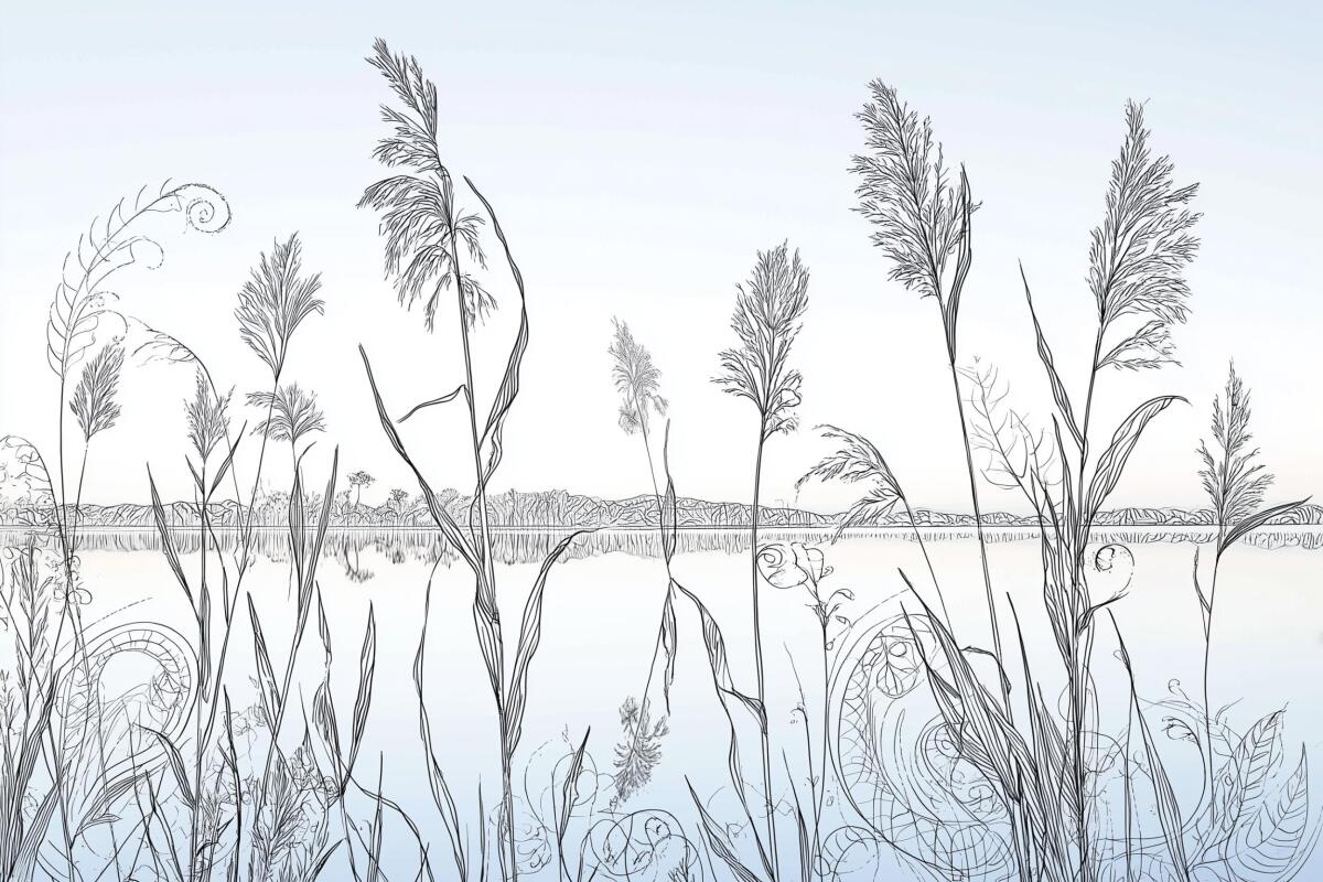 Fototapeta z krajobrazem natury- Rysunek traw i jeziora | Minimalistyczny pejzaż w stylu skandynawskim 82206 - zdjęcie 4