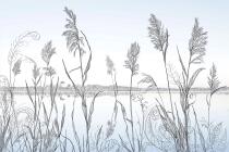 Fototapeta z krajobrazem natury- Rysunek traw i jeziora | Minimalistyczny pejzaż w stylu skandynawskim 82206 - miniaturka 4