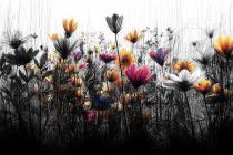 Nowoczesna Fototapeta z Polnymi Kwiatami | Czarno-Biała Tapeta z Kolorowym Akcentem | Ozdoba Ścienna do Sypialni 82216 - miniaturka 4