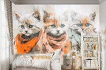 Urocza Fototapeta do pokoju dziecięcego- Akwarelowe Kotki 82227 - miniaturka 1