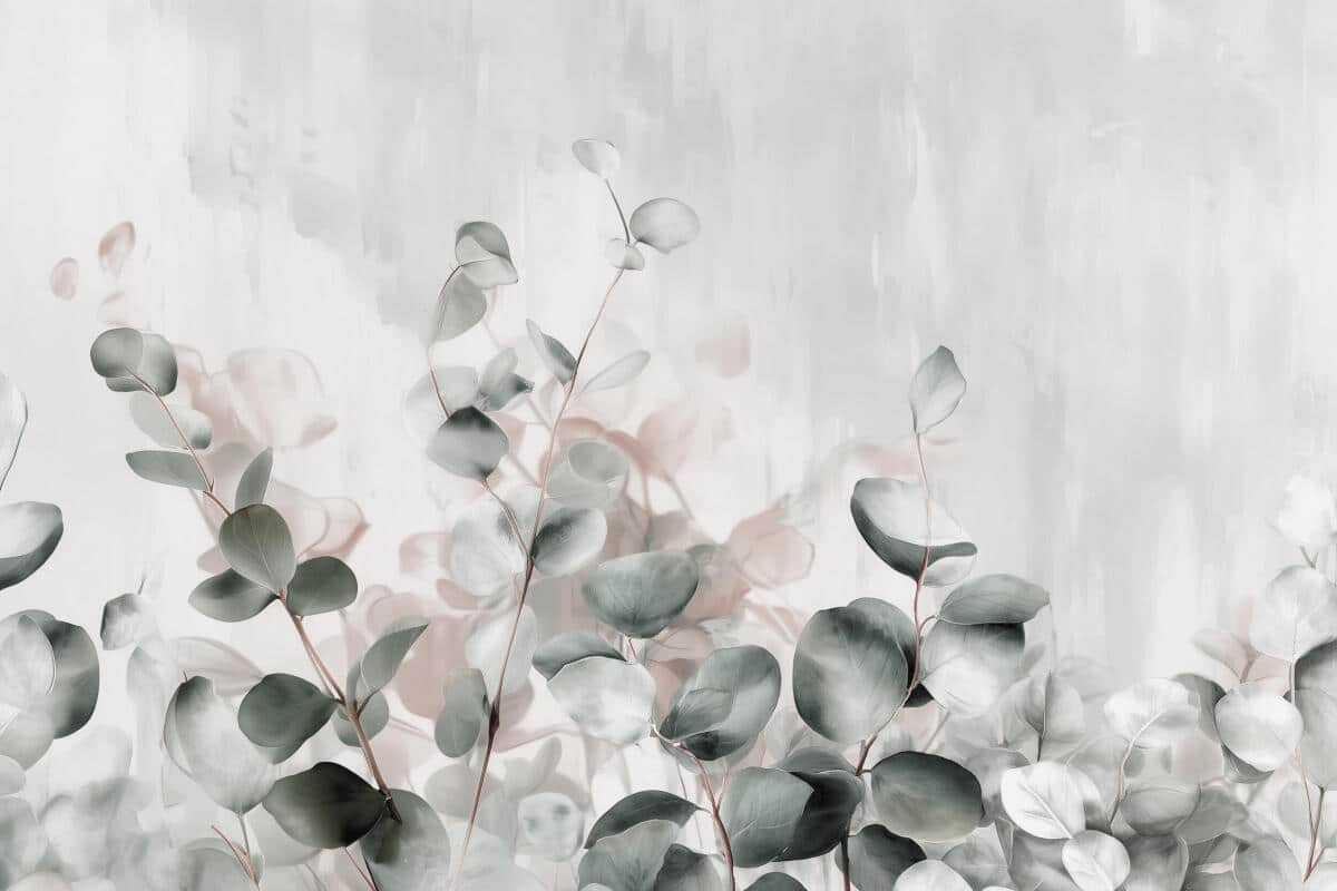Fototapeta roślinna w odcieniach szarości i zieleni- liście eukaliptusa | Tapeta botaniczna do salonu 82110 - zdjęcie 4