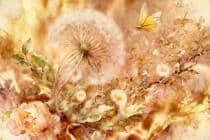 Delikatna Fototapeta w stylu akwarelowym- dmuchawiec w złotych odcieniach 51042 - miniaturka 3