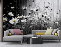 Wyrazista Fototapeta do salonu- Stokrotki | Kontrastowa grafika na ścianę do nowoczesnych wnętrz 82211 - miniaturka 3