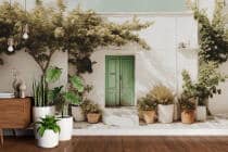 Fototapeta do salonu- Grecka uliczka | Śródziemnomorski ogród- dekoracja ścienna 82105 - miniaturka 3