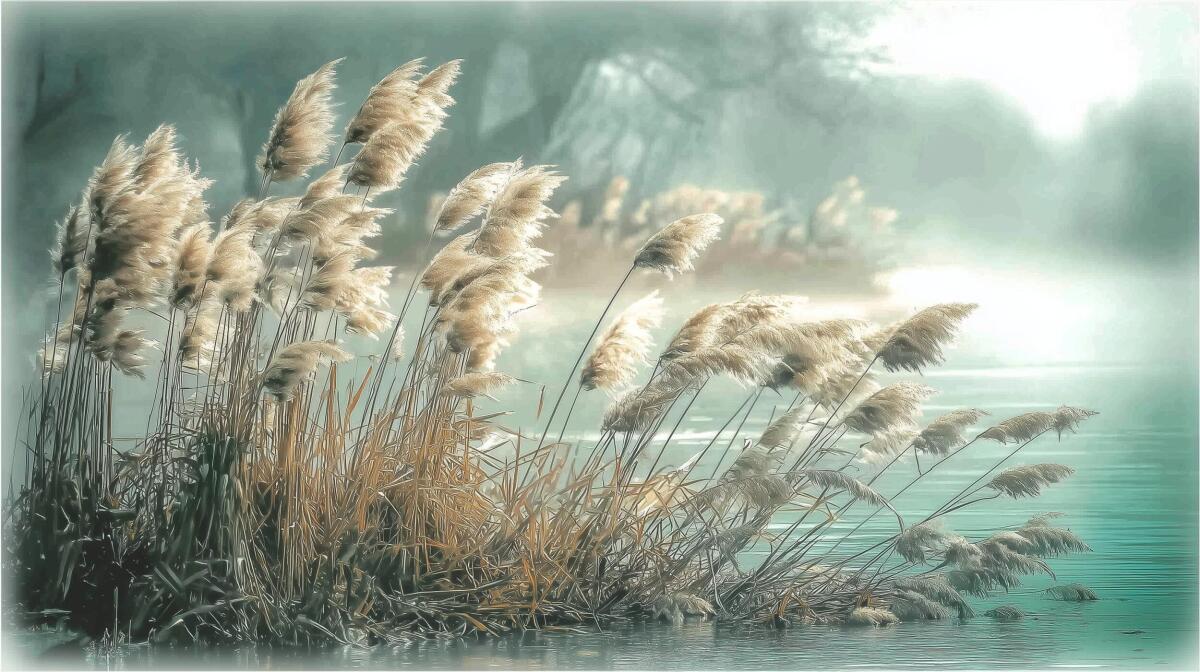 Relaksująca Fototapeta z Krajobrazem Jeziora- Trawy i Trzciny nad Wodą | Tapeta do salonu w stylu boho 82111 - zdjęcie 4