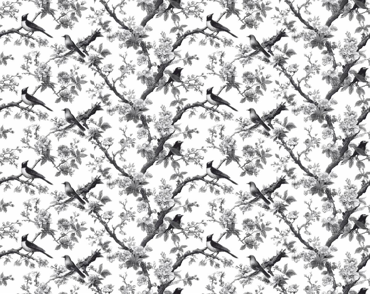 Czarno- biała Fototapeta do hotelu, gabinetu- Ptaki i Kwiaty | Elegancka Fototapeta Vintage 82328 - zdjęcie 4