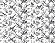 Czarno- biała Fototapeta do hotelu, gabinetu- Ptaki i Kwiaty | Elegancka Fototapeta Vintage 82328 - miniaturka 4