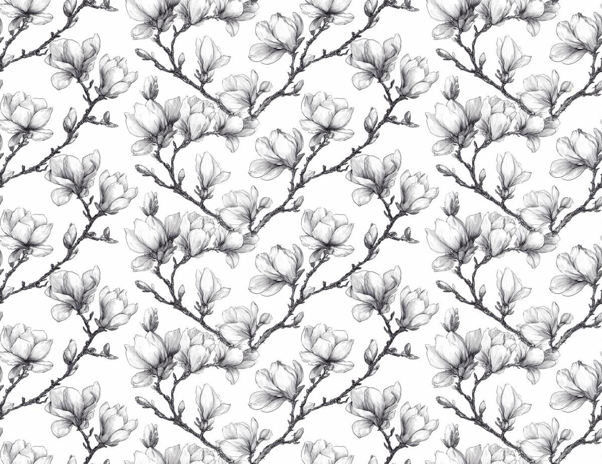 Dekoracyjna Fototapeta biurowa- Magnolia Artystyczny Szkic | Elegancka Dekoracja do poczekalni, recepcji 82326 - zdjęcie 4