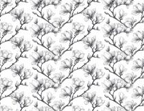 Dekoracyjna Fototapeta biurowa- Magnolia Artystyczny Szkic | Elegancka Dekoracja do poczekalni, recepcji 82326 - miniaturka 4