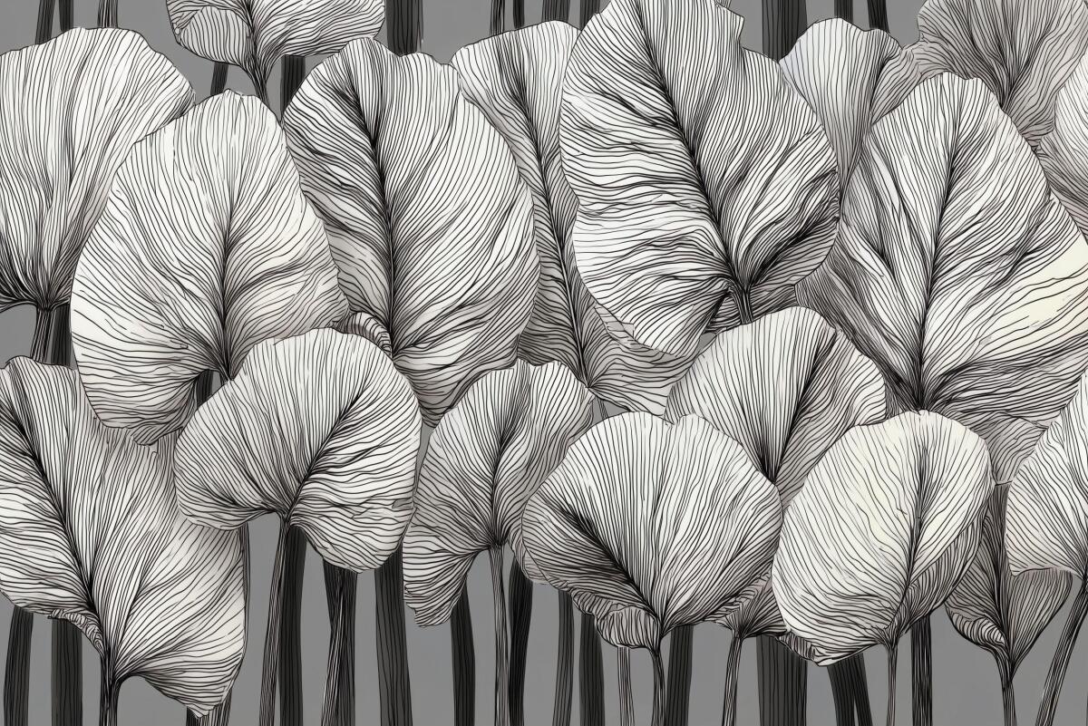 Elegancka fototapeta do biura – Czarno-białe liście | Nowoczesna dekoracja do recepcji i gabinetu 64250 - zdjęcie 5