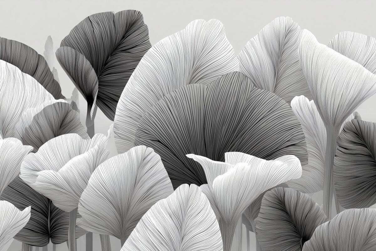 Czarno- biała Fototapeta- Artystyczne Liście | Subtelna, Stylowa Tapeta do salonu beauty, gabinetu 64252 - zdjęcie 5