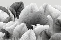 Czarno- biała Fototapeta- Artystyczne Liście | Subtelna, Stylowa Tapeta do salonu beauty, gabinetu 64252 - miniaturka 5