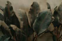 Fototapeta do biura- Tropikalne Liście | Egzotyczne rośliny w ciemnej zieleni 64256 - miniaturka 5