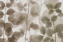 Elegancka Fototapeta do salonu i biura – Delikatne Liście i Gałązki w beżu i zieleni 64266 - miniaturka 5