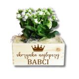 Skrzynka drewniana na kwiaty, prezent na Dzień Babci, 05 - miniaturka 1