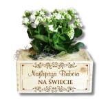 Skrzynka drewniana na kwiaty, prezent na Dzień Babci, 03 - miniaturka 1