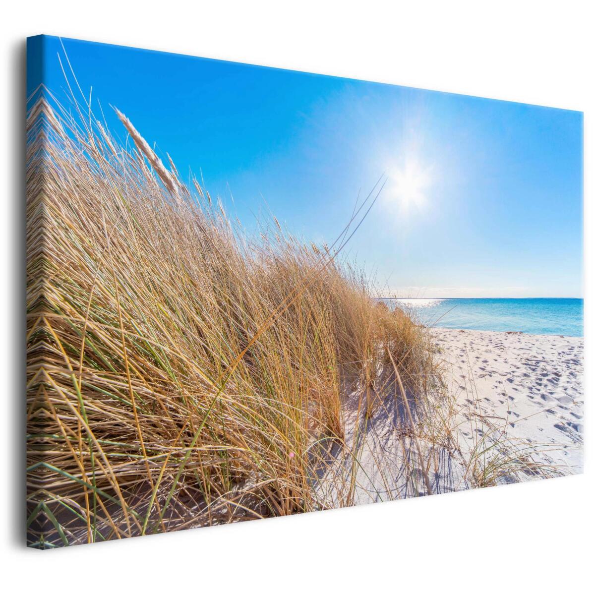 Obraz na Płótnie z Widokiem Plaży, Wydm, Złocistych Traw i Lazurowego Morza | Letni Krajobraz- Słoneczna plaża | Nowoczesna dekoracja na ścianę 68133