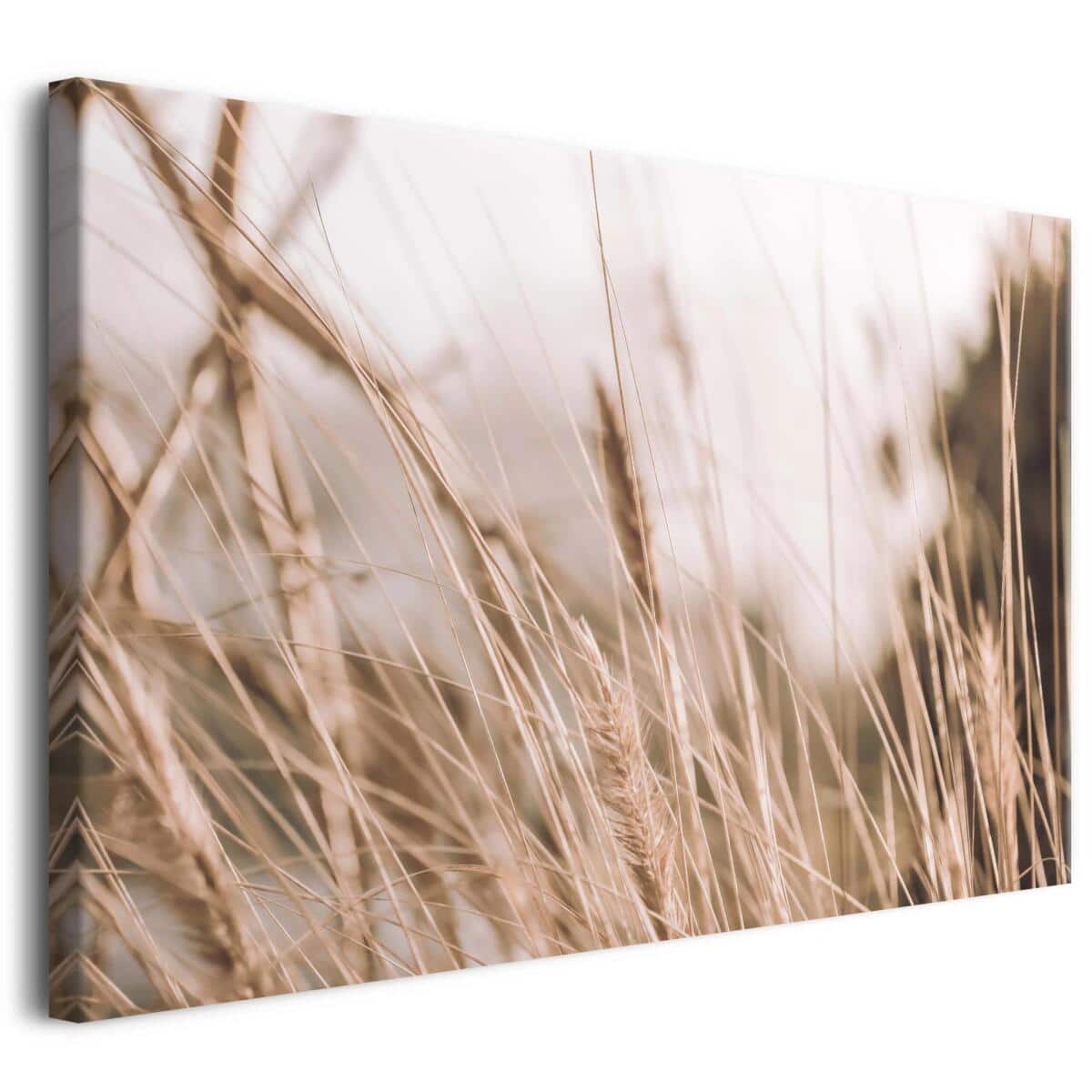 Subtelny obraz na płótnie- Trawy na Wietrze – harmonia i minimalizm | Beżowa dekoracja do wnętrz boho 68130