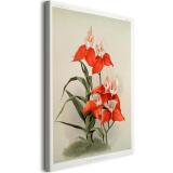Reprodukcja obrazu Frederick Sander – Ilustracja kwiatów z kolekcji Reichenbachia Orchids 1 - miniaturka 1