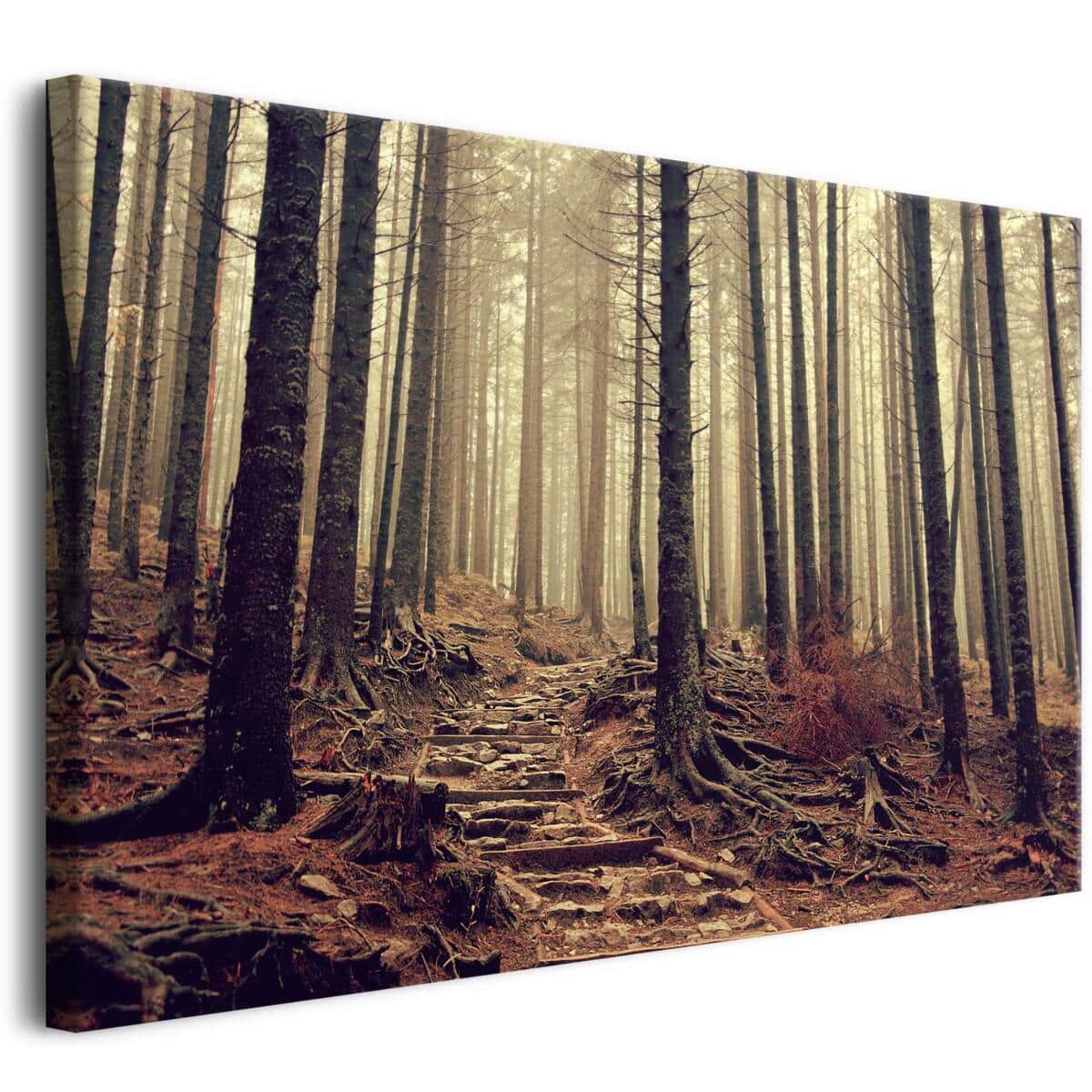 Tajemniczy las na płótnie | Obraz na ścianę z leśnym krajobrazem | Jesienna dekoracja do wnętrz w stylu skandynawskim, boho, rustykalnym 68106