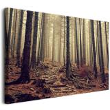 Tajemniczy las na płótnie | Obraz na ścianę z leśnym krajobrazem | Jesienna dekoracja do wnętrz w stylu skandynawskim, boho, rustykalnym 68106 - miniaturka 1