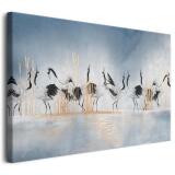 Dekoracja ścienna z motywem żurawi – Subtelny obraz w odcieniach błękitu i złota | Elegancki obraz na płótnie-  Żurawie i złote trawy na tle błękitnej mgły 68173 - miniaturka 1