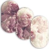 Obrazy z Piwoniami w Stylu Soft Glam | Tryptyk w odcieniach różu 82368 - miniaturka 1