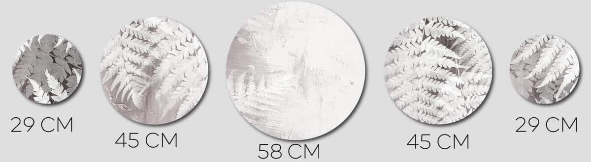 Botaniczny Zestaw Obrazów Koła - Białe Paprocie | Styl Skandynawski i Minimalizm | Nowoczesna ozdoba na ścianę 42206 - zdjęcie 4