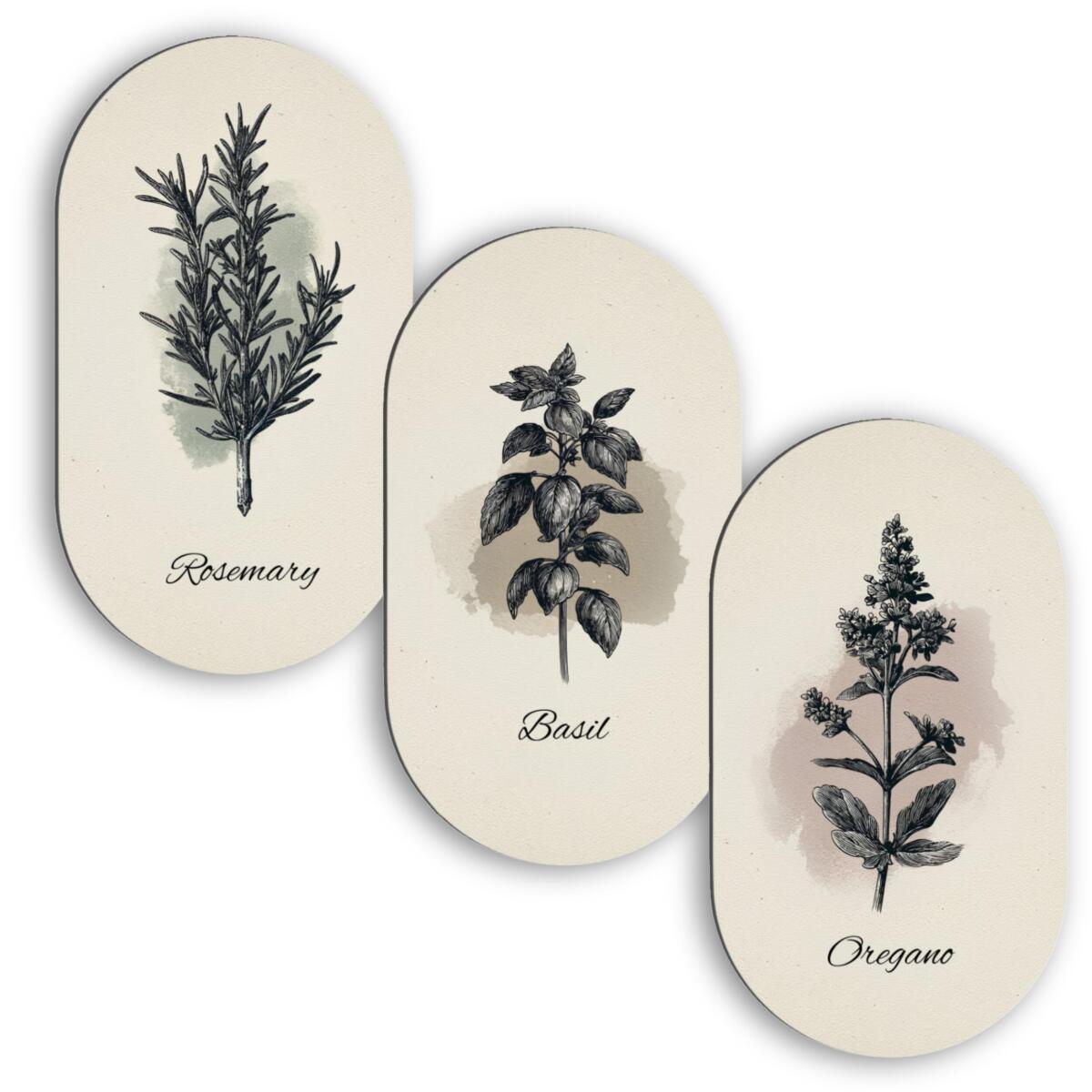 Retro Ilustracje Ziół - Obrazy Owalne, Elipsy | Dekoracja ścienna do kuchni, jadalni 51100