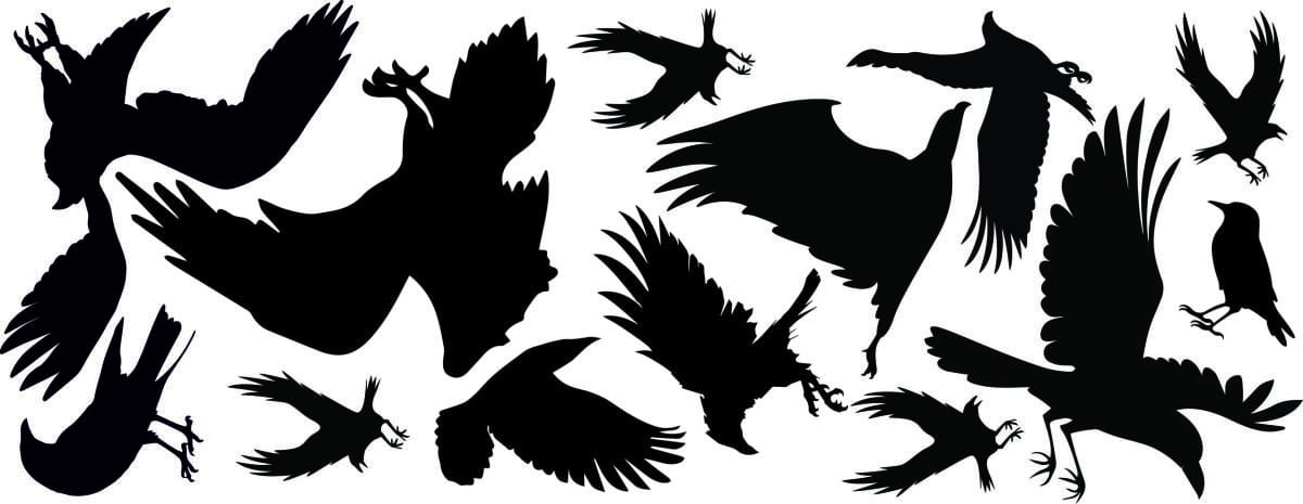 Odstraszacz Ptaków: Naklejki Ptaki na Okna i Szyby | Duży Zestaw 14szt 51201 - zdjęcie 2