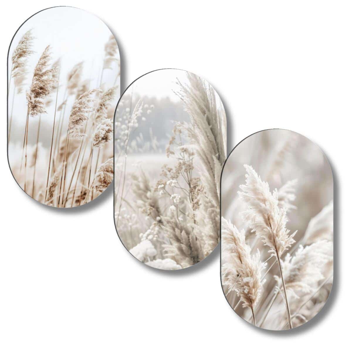 Obrazy w kształcie elipsy- Trawy Pampasowe | Kremowe obrazy do sypialni i salonu 82401