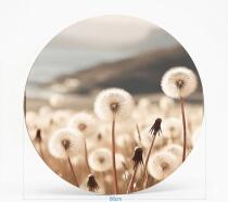 Okrągły Obraz Natura – Dmuchawce na Łące | Minimalistyczna Dekoracja do Salonu i Sypialni 82422 - miniaturka 2