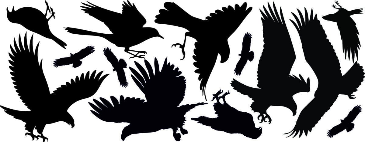 Naklejki ochronne na okna, Naklejka Odstraszająca Ptaki, Gołębie | Duży Zestaw 14szt. 51202 - zdjęcie 2