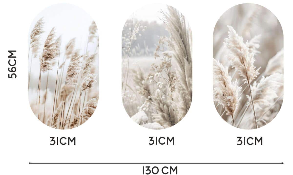 Obrazy w kształcie elipsy- Trawy Pampasowe | Kremowe obrazy do sypialni i salonu 82401 - zdjęcie 7